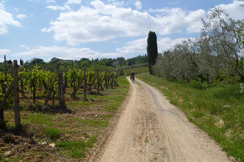 Via-Francigena